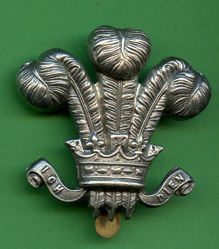 WW1 The Royal Wiltshire Yeomanry Cap Badge